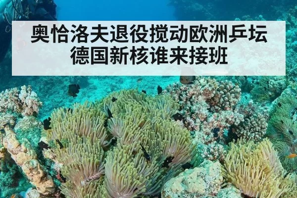 奥恰洛夫退役搅动欧洲乒坛 德国新核谁来接班